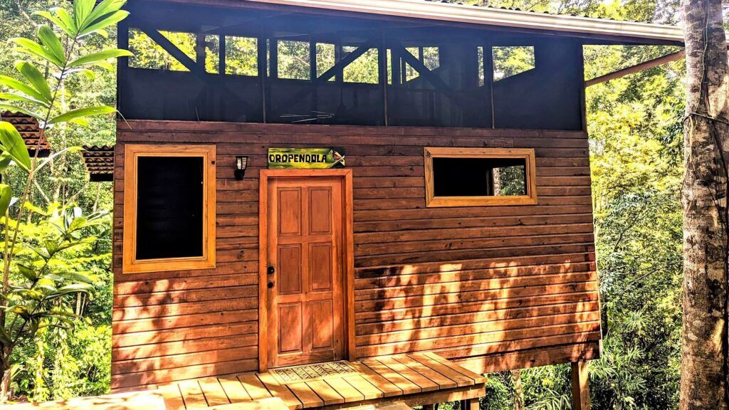 Oropendola Lodge